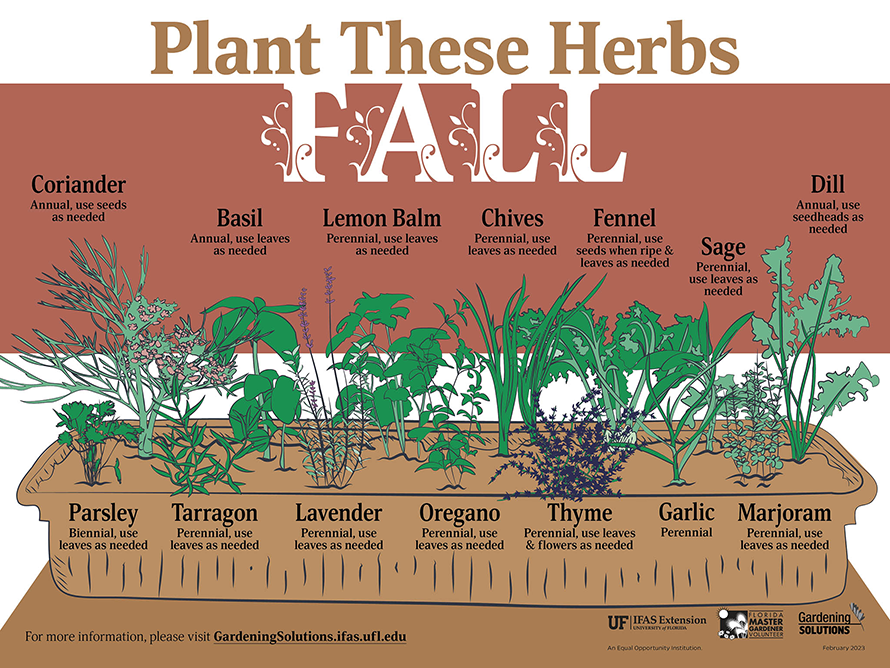 Fall Herbs