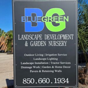 Blue Green Landscape Development & Garden Nursery