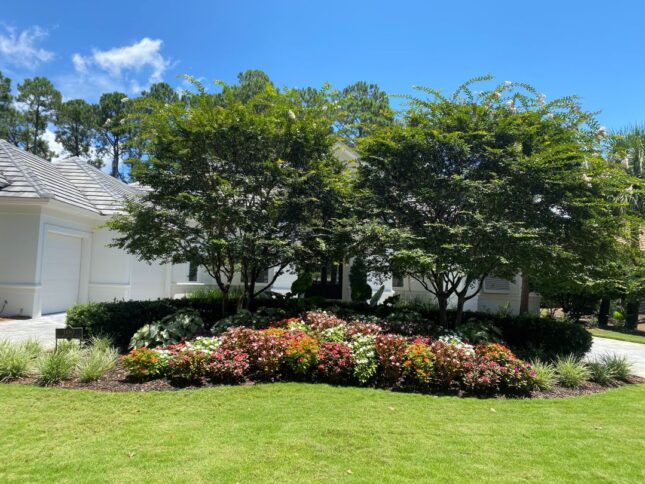 Yard of Distinction - Sept 2026
